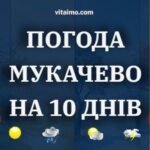 погода мукачево на 10 днів