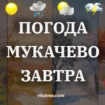 погода мукачево завтра