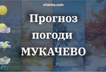 прогноз погоди мукачево