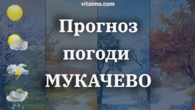 прогноз погоди мукачево
