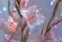 Букет з гладіолусів