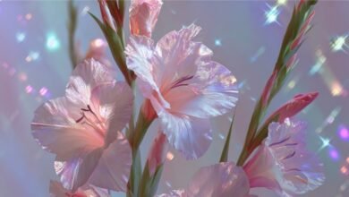 Букет з гладіолусів