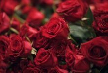 Картинки з букетом на День Вчителя