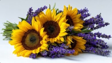 Шикарні квіти для ювілею 55 років 7 квіти для ювілею 55 років