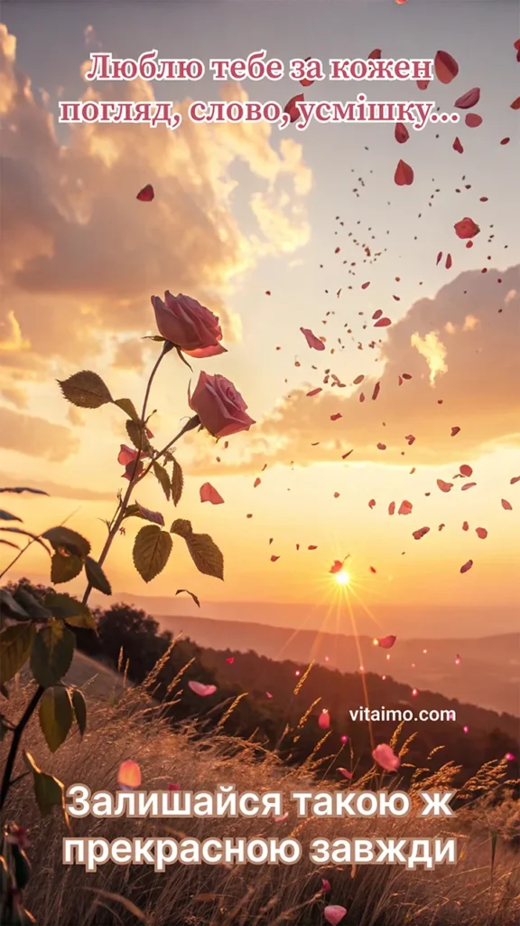 Рожеві троянди на схилі пагорба, пелюстки, що розлітаються в повітрі, і яскравий захід сонця над горами з написом «Люблю тебе за кожен погляд, слово, усмішку… Залишайся такою ж прекрасною завжди».