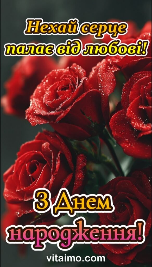 Шикарні букети з Днем народження — червоні троянди в краплинках роси