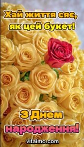 Жовті троянди з однією червоною в центрі як святкове привітання з Днем народження.