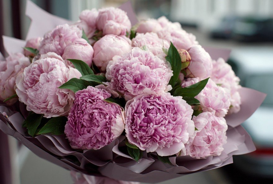 Вітання фельдшерам