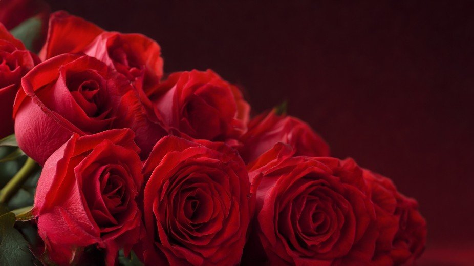 Вишукані листівки для бабусі