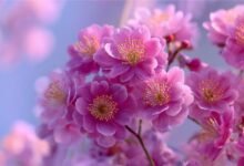 Побажання мамі на день народження