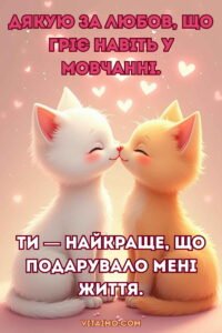 Дві котики, що ніжно торкаються носиками на рожевому фоні із сердечками як подяка коханій жінці за любов.