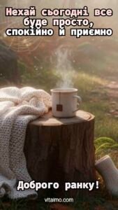 Чашка гарячого чаю й плед на пеньку на природі для привітання з добрим ранком.