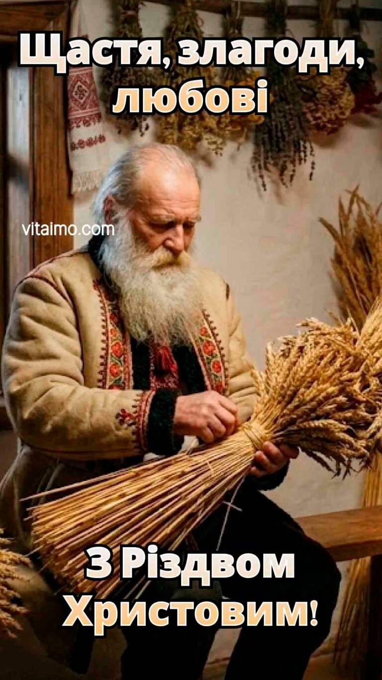 Тепла різдвяна листівка з дідом‑господарем та снопом колосків