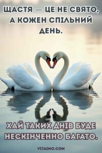 Ніжне привітання з річницею весілля з двома білими лебедями, що утворюють серце над водою.