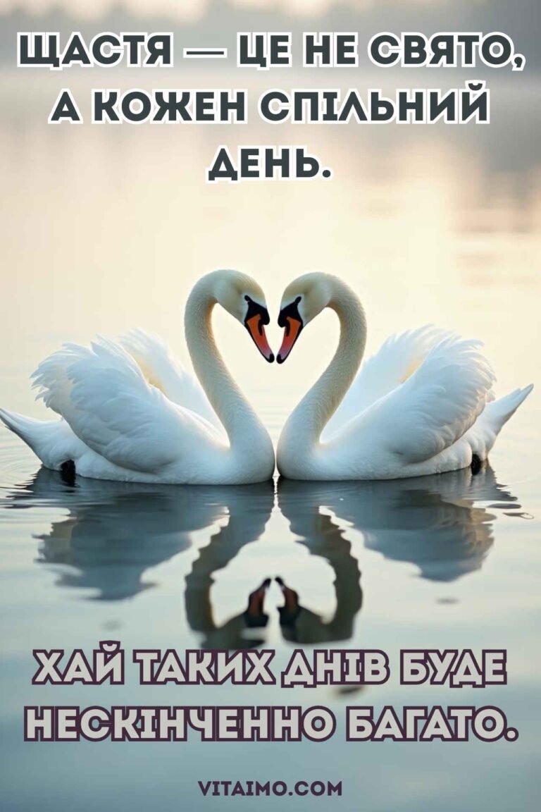 Романтична листівка до річниці весілля з двома білими лебедями на воді